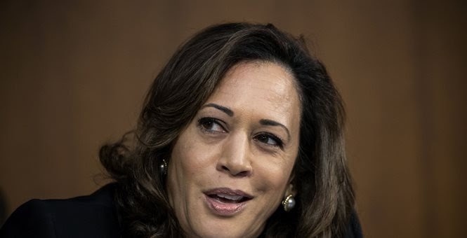 KAMALA HARRIS’ JAMAICAN ANCESTORS LED THE BRITISH-JAMAICAN SLAVE TRADE 